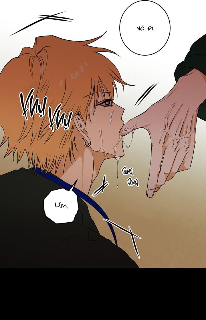 [DDT] Phiên Bản Hoàn Hảo Chapter 2 19+ - Trang 2