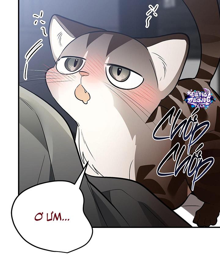 [DDT] HÃY SINH NHẤT MIÊU HÀI WILDCAT, NHƯ BẤT DỤC KIẾN NGÃ PHÁT CUỒNG! Chapter 1 19+ - Trang 2