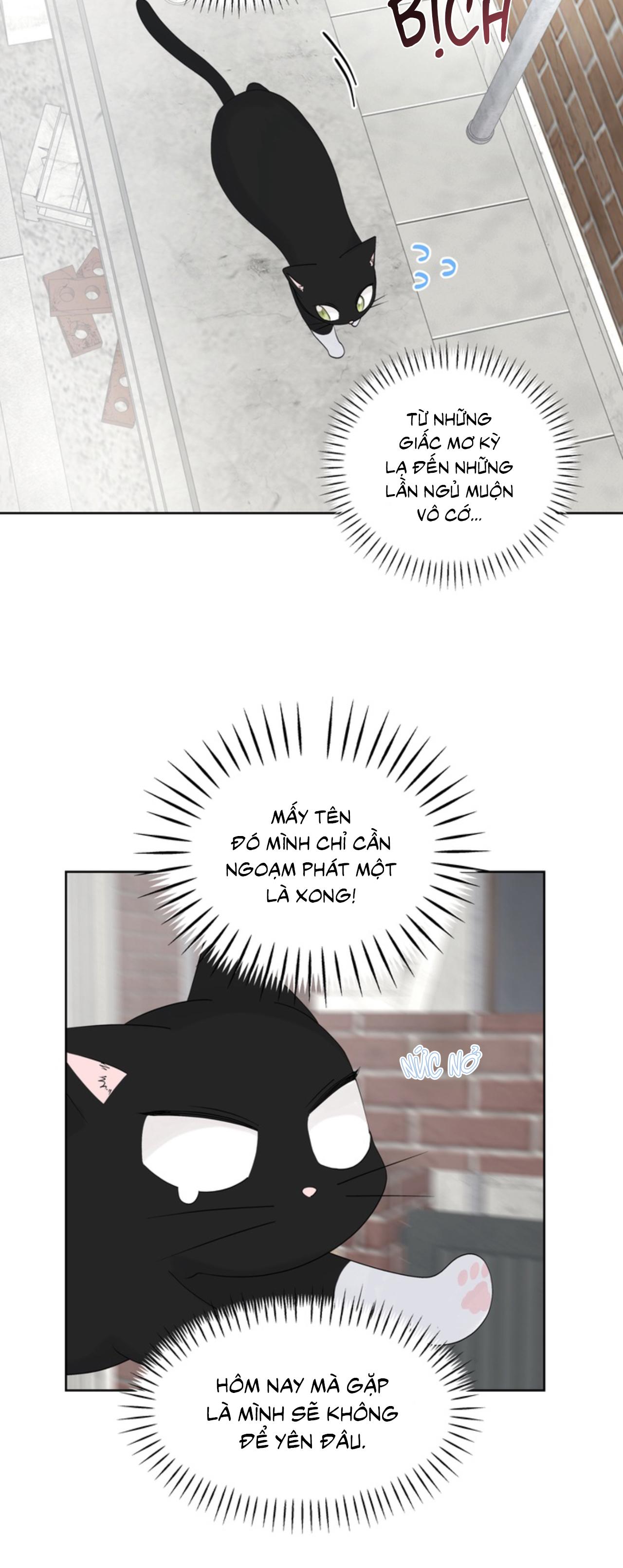 XIN HÃY YÊU THƯƠNG DÙ TÔI LÀ CHUỘT Chapter 6 - Trang 2