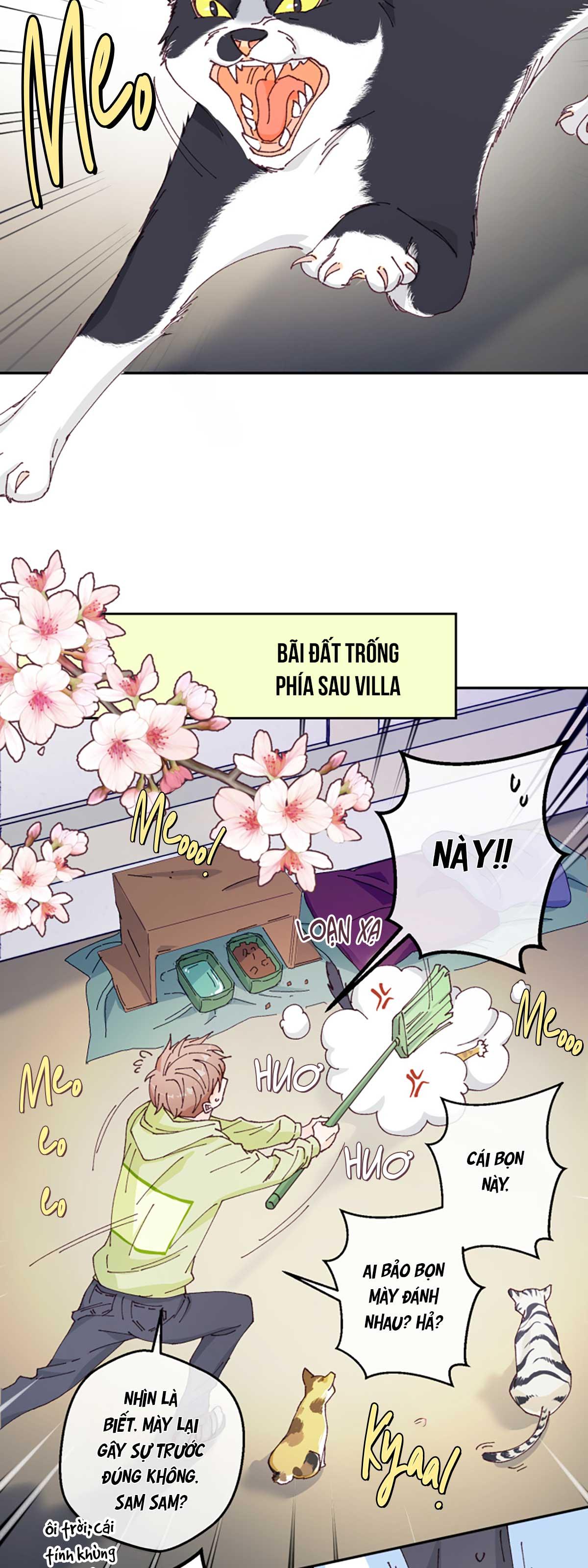 NGƯỜI HÀNG XÓM QUYẾN RŨ CỦA TÔI Chapter 1 - Trang 2