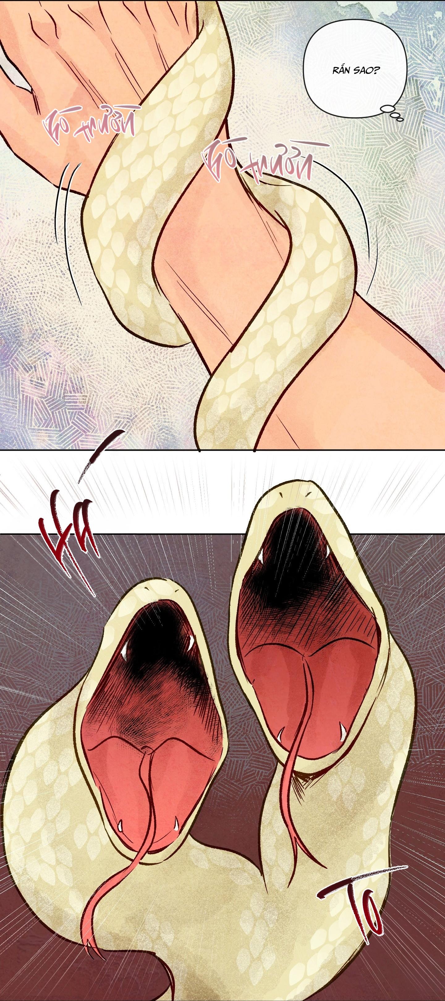 The Sacred Serpent's Seduction Chapter 25 H+ - Trang 2