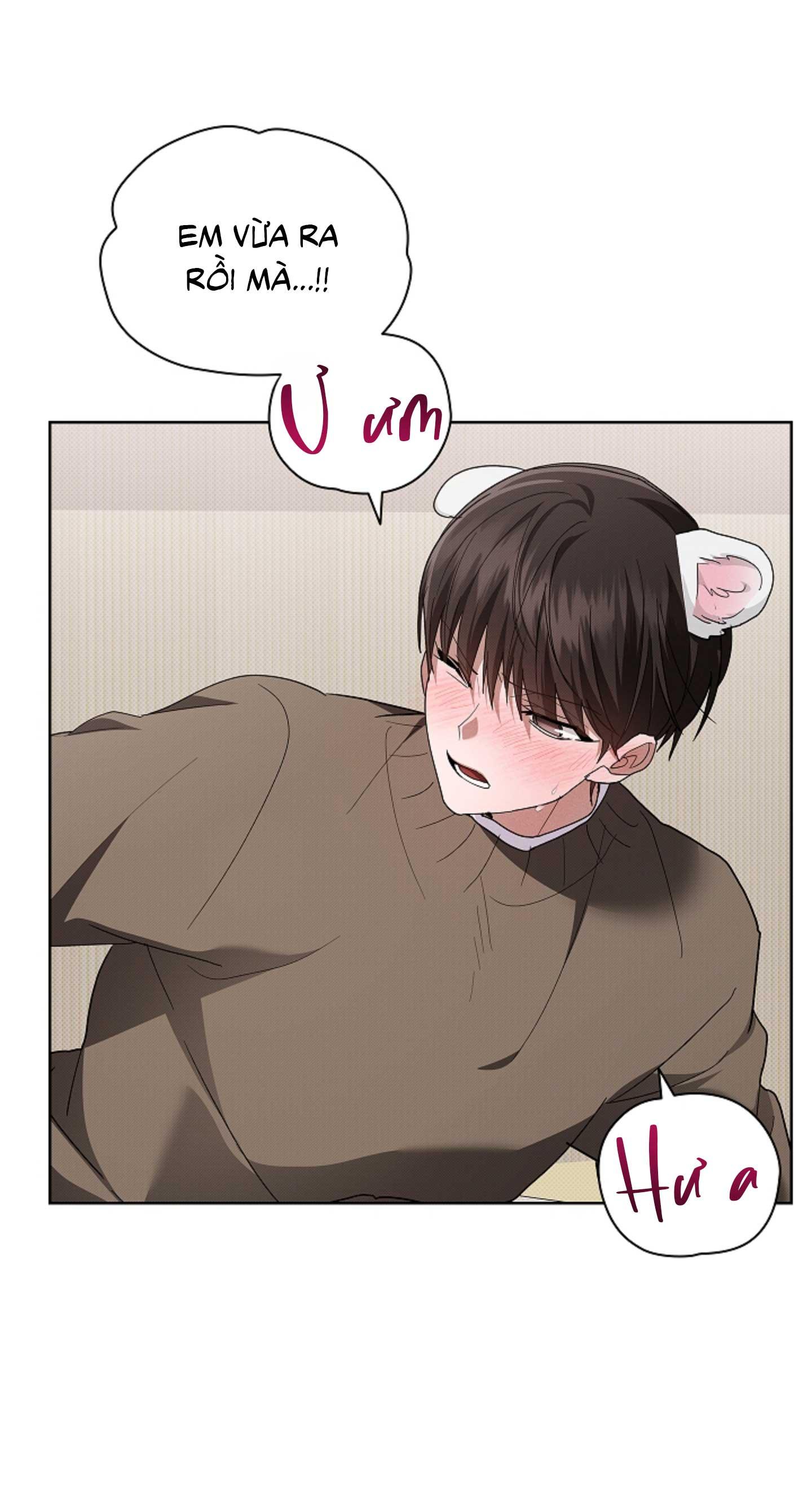 ĐỪNG ĐỘNG VÀO CÚN CON! Chapter 44.09 H+ - Trang 2