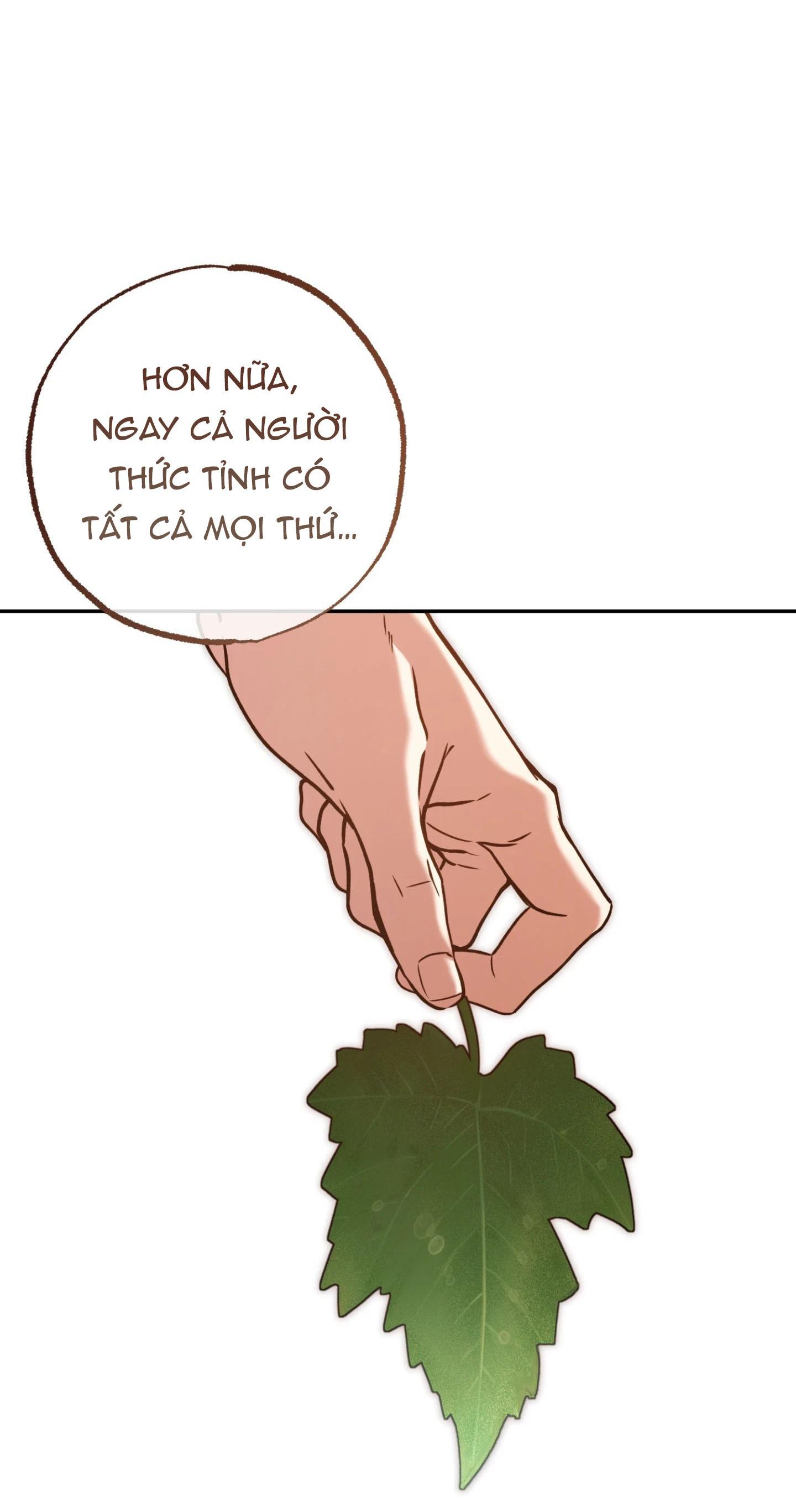 DAWNING LIGHT Chapter 5 - Next Chapter 6