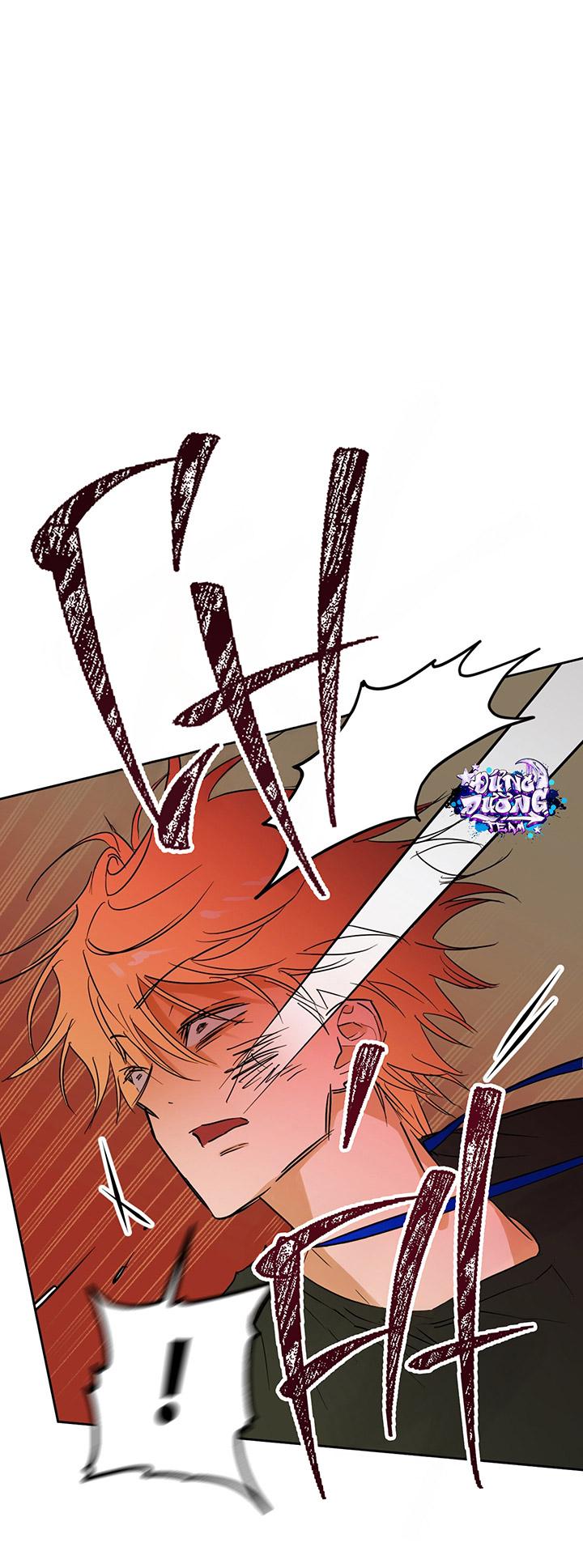 [DDT] Phiên Bản Hoàn Hảo Chapter 1 19+ - Trang 2