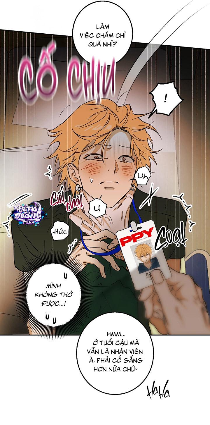 [DDT] Phiên Bản Hoàn Hảo Chapter 1 19+ - Trang 2