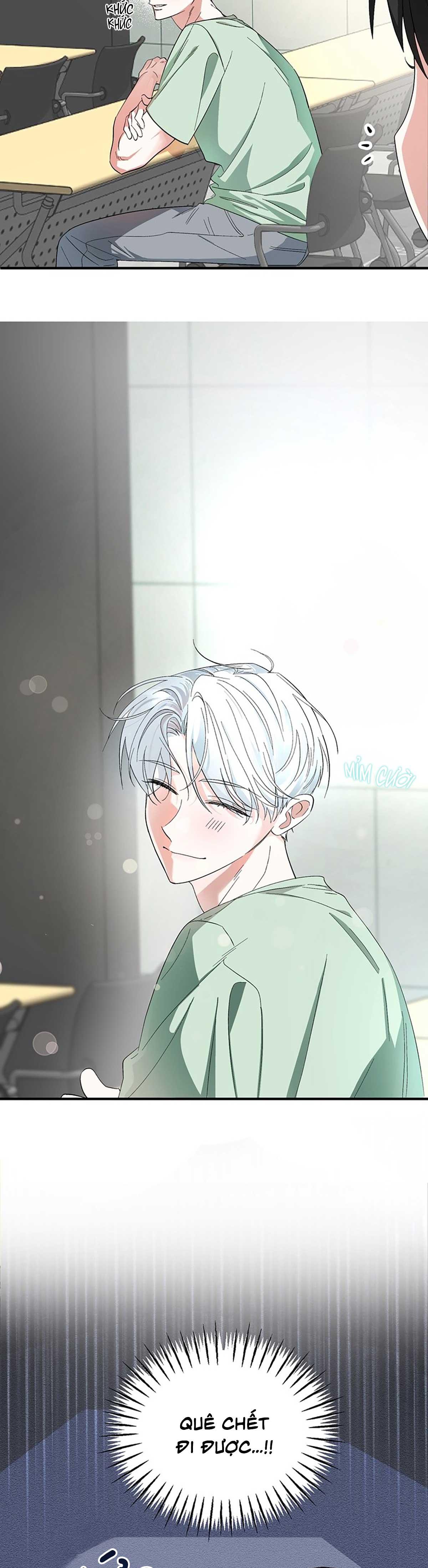 XIN HÃY YÊU THƯƠNG DÙ TÔI LÀ CHUỘT Chapter 1 - Trang 2