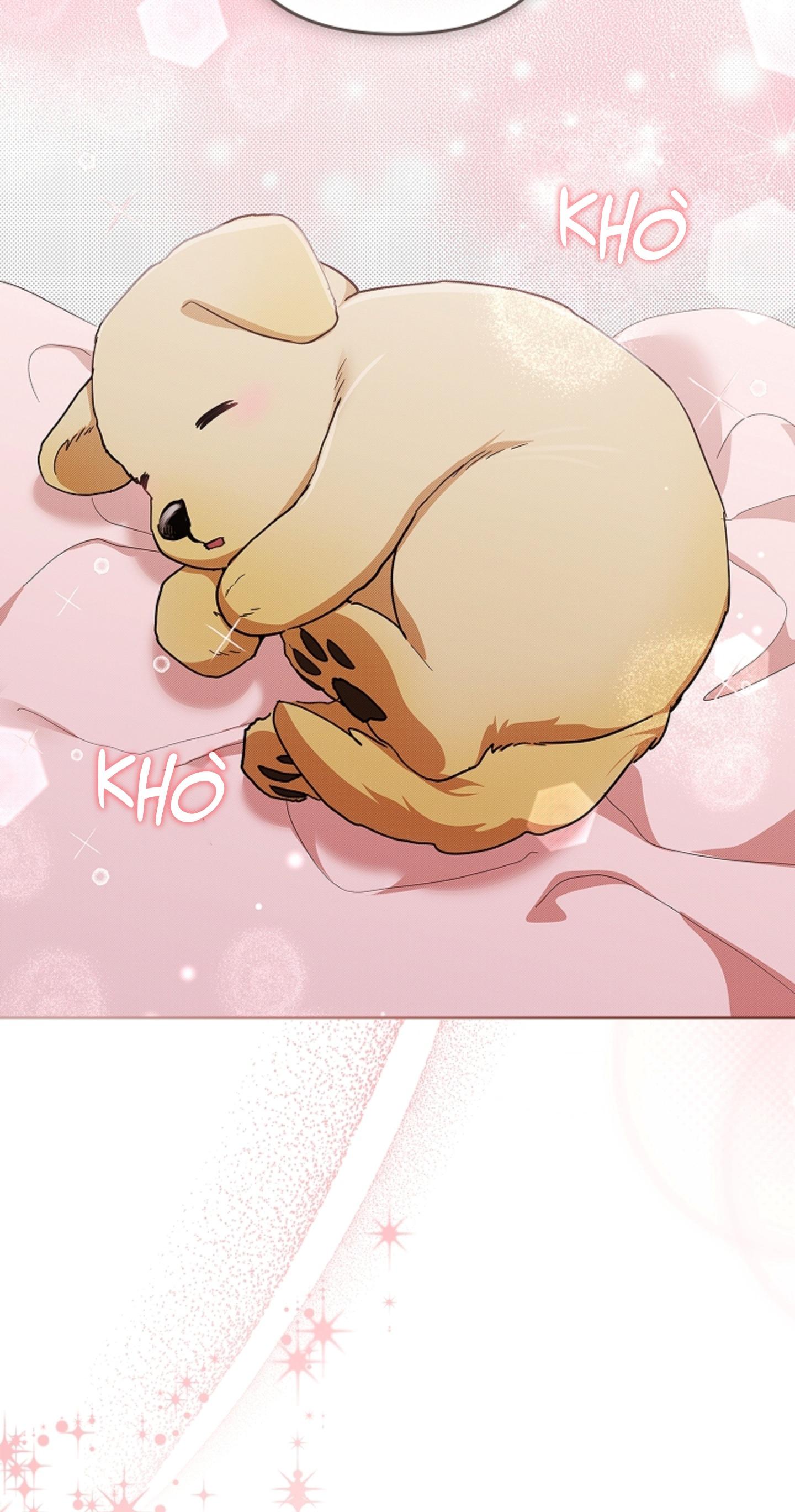 ĐỪNG ĐỘNG VÀO CÚN CON! Chapter 44.02 - Trang 2