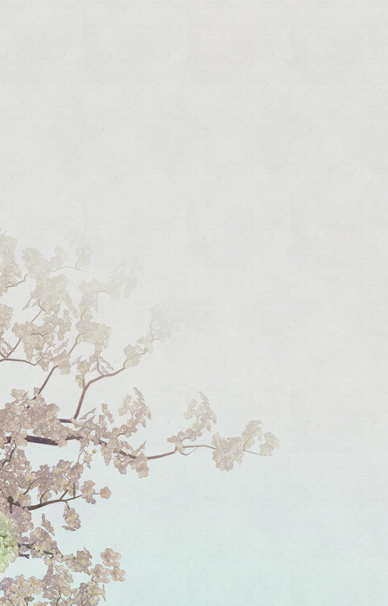 NGHỊCH SÁT Chapter 2 - Trang 2