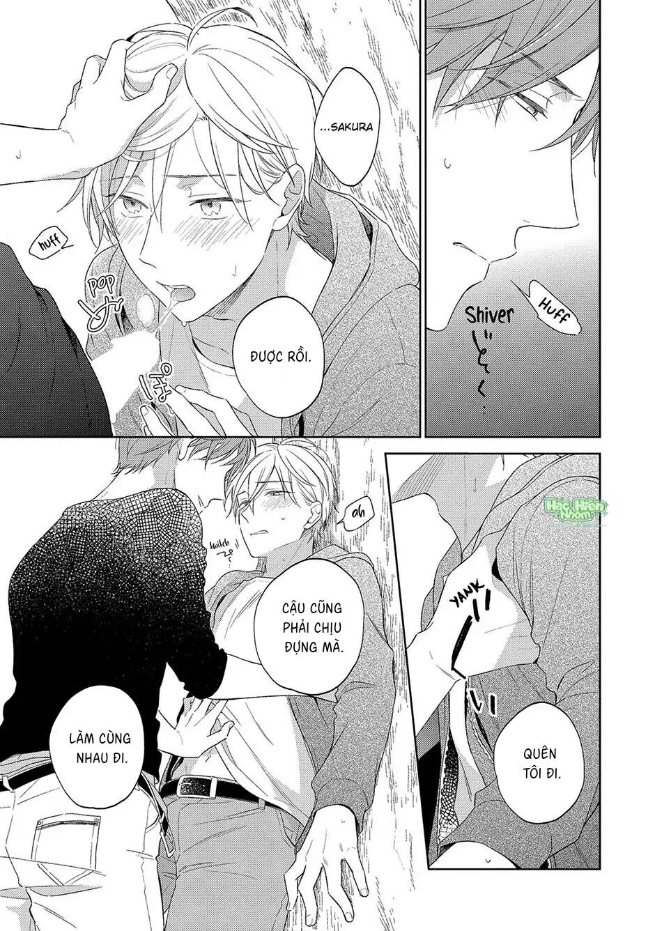 Tình Yêu Nở Trên Cành Đào Ngược Gió Chapter 4 Hachiennhom - Trang 2