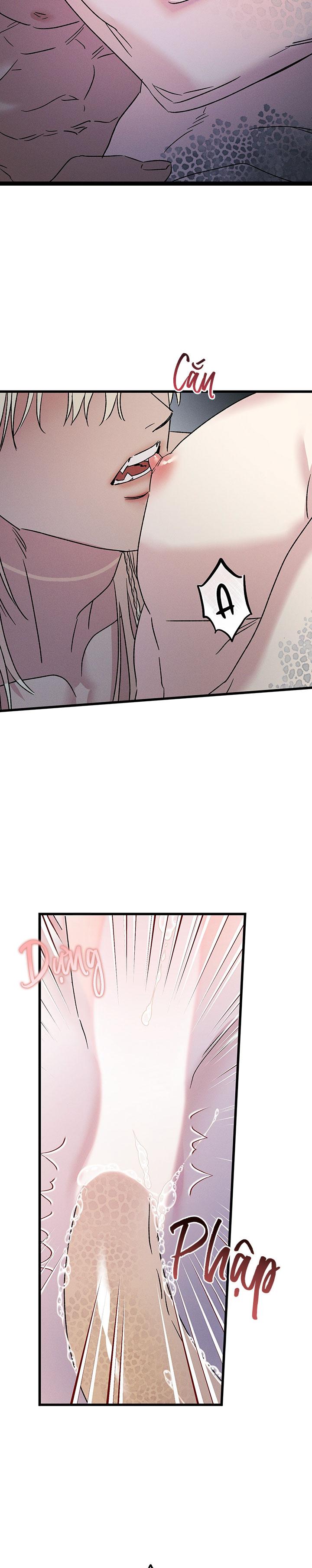 Mermaid's Cradle Chapter 12 - Next 