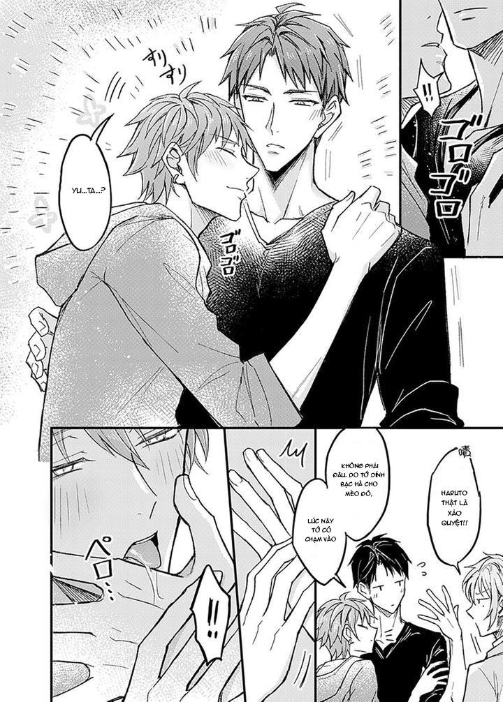 ONESHOT CHỊCH Chapter 239.1 3P - Trang 2