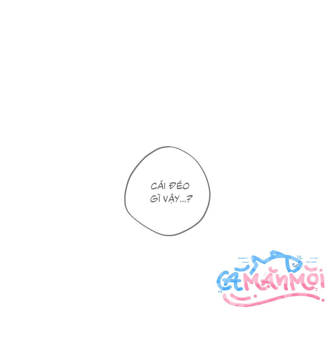 Bình An Của Chúa Chapter 1 - Next Chapter 2