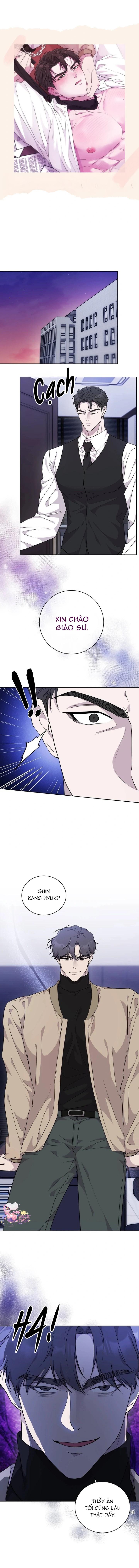 Luận Văn Cơ Thể Của Giáo Sư Chapter 2 - Trang 2