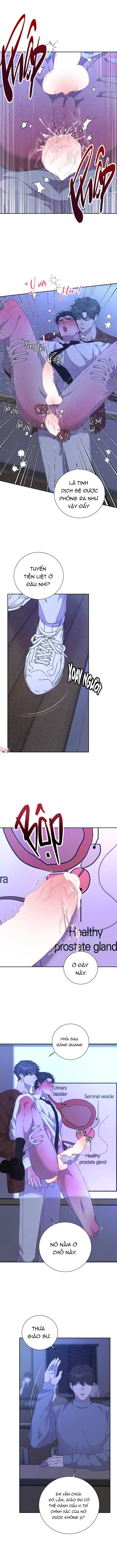 Luận Văn Cơ Thể Của Giáo Sư Chapter 5 - Trang 2