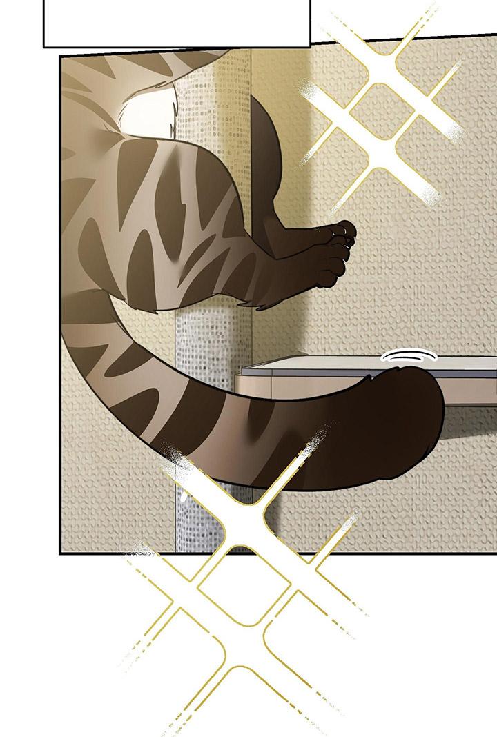 [DDT] HÃY SINH NHẤT MIÊU HÀI WILDCAT, NHƯ BẤT DỤC KIẾN NGÃ PHÁT CUỒNG! Chapter 1 19+ - Trang 2