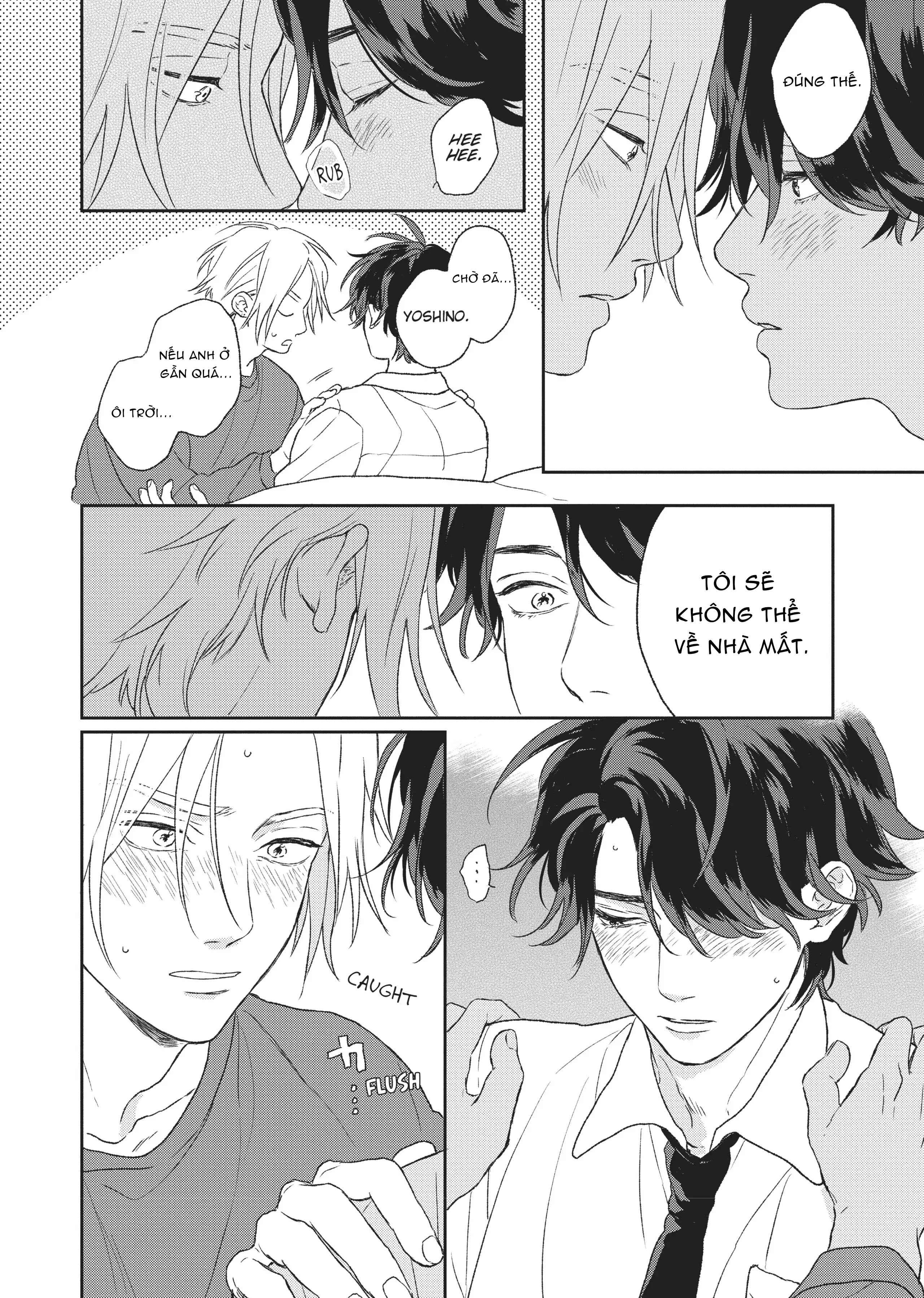 Tôi Đâu Định Yêu Cậu Chapter 5 H - Trang 2