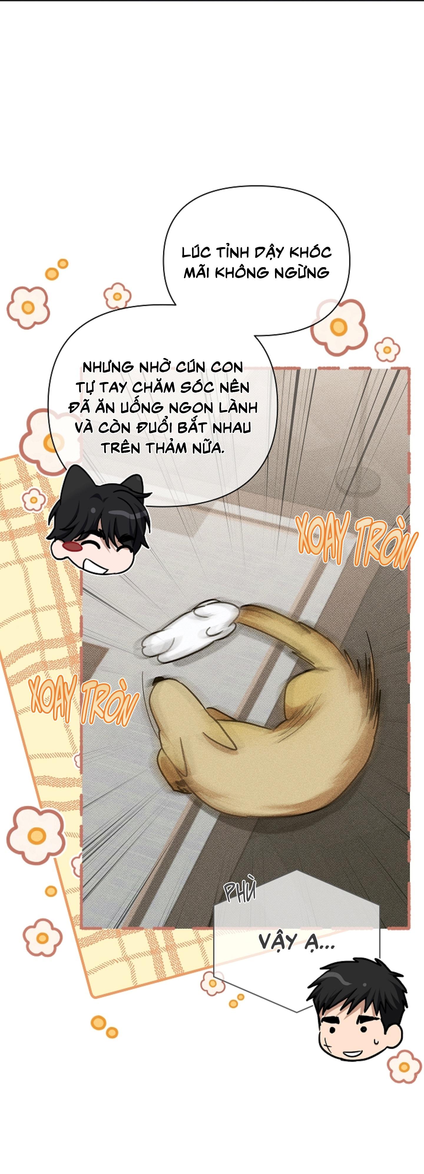 ĐỪNG ĐỘNG VÀO CÚN CON! Chapter 44.05 - Trang 2