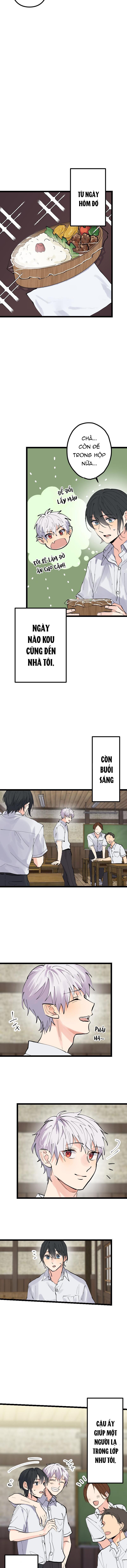 Cậu Là Ma Cà Rồng Dưới Ánh Mặt Trời Chapter 3 - Trang 2