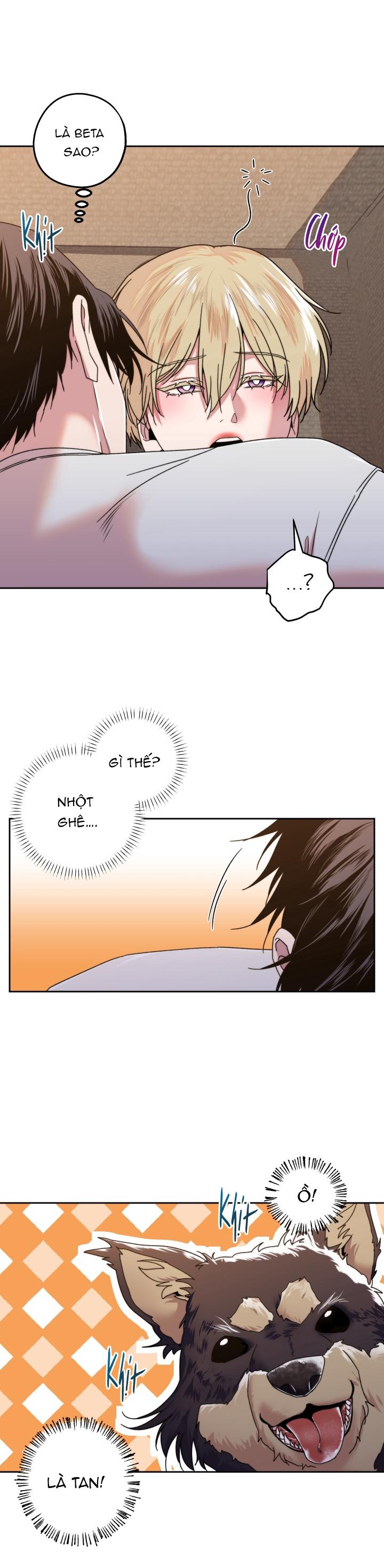 Người Hàng Xóm Bất Ngờ Chapter 3 - Trang 2