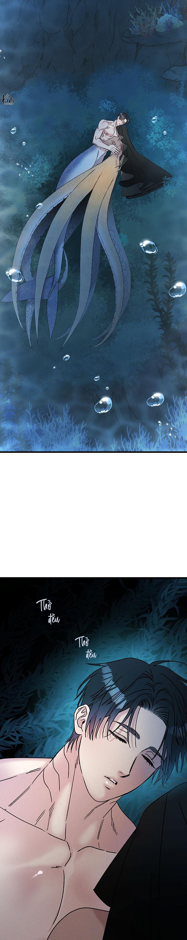 Mermaid's Cradle Chapter 2 - Trang 2