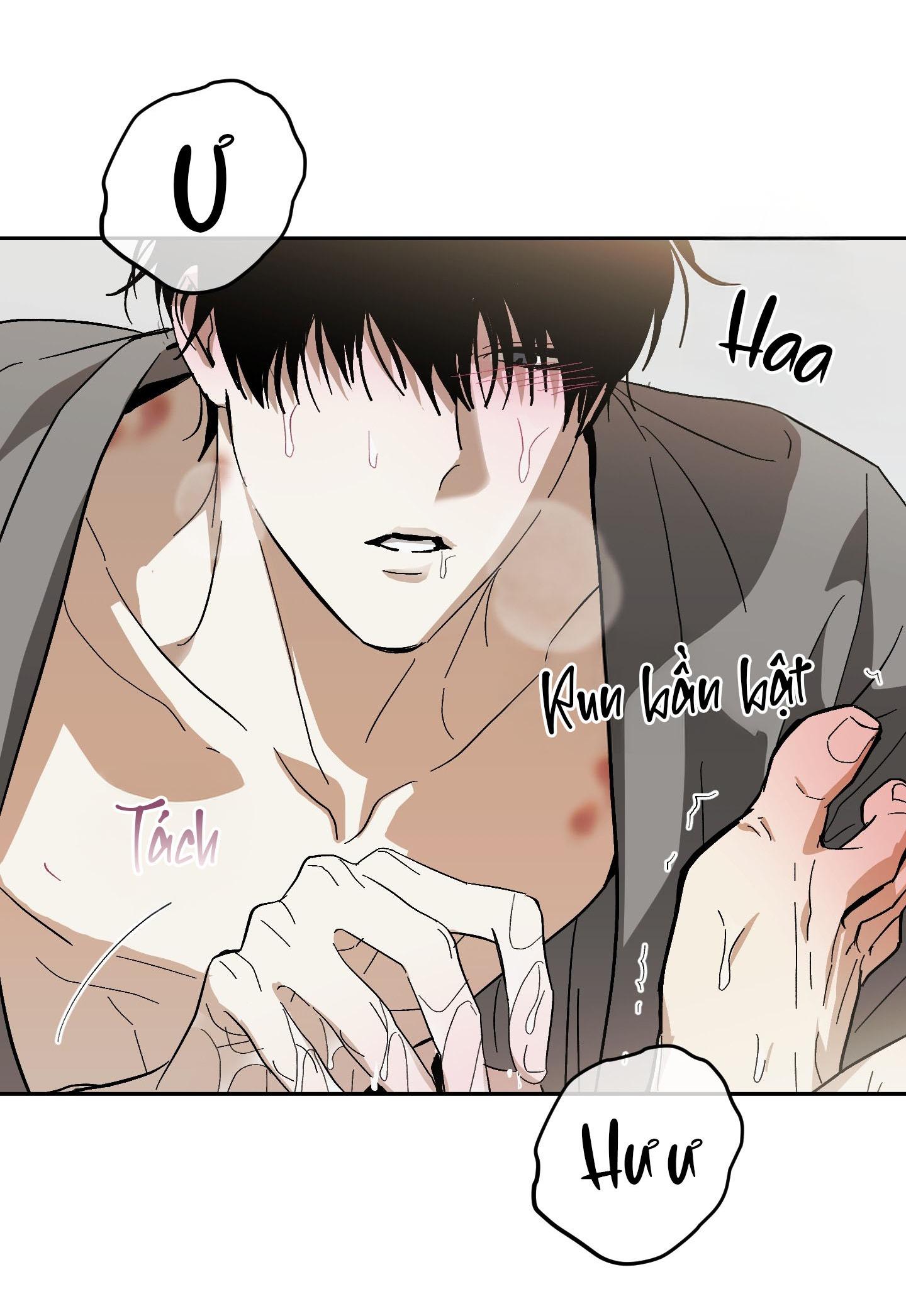 TƯƠNG XỨNG Chapter 14 - Next Chapter 15