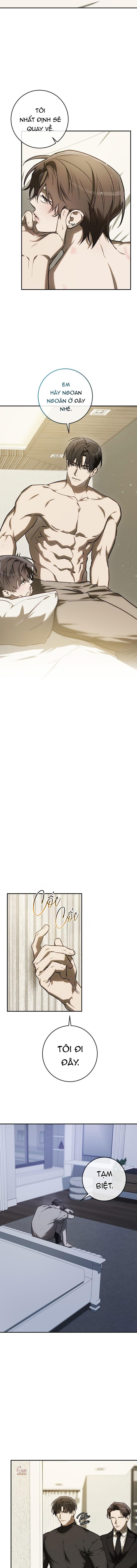 BẢO VẬT Chapter 40 - Trang 2