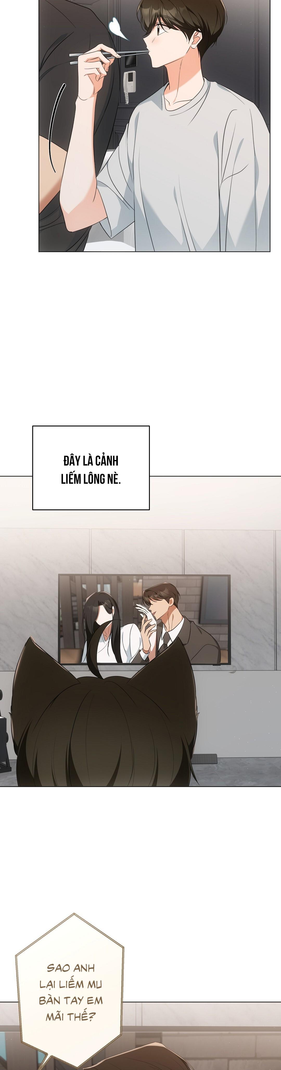 LIỆU PHÁP TRỊ LIỆU MÈO Chapter 11 - Trang 2