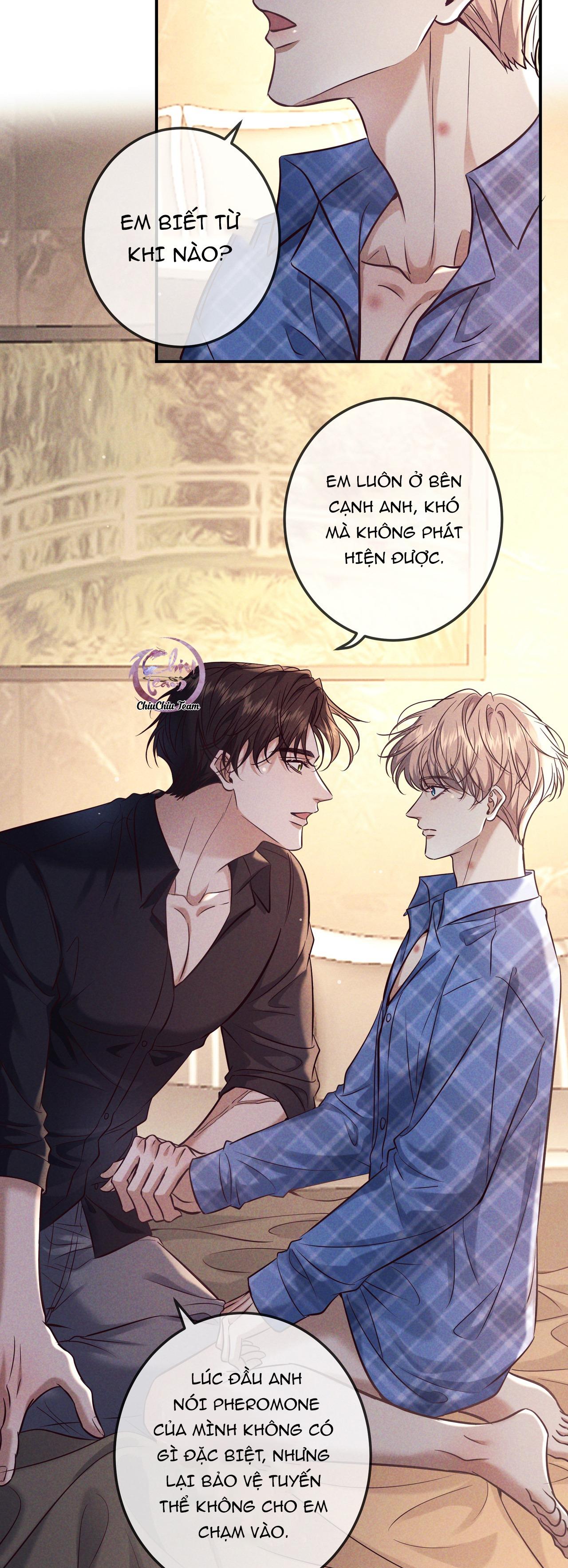 Cạn Tình Chapter 81 - Trang 2