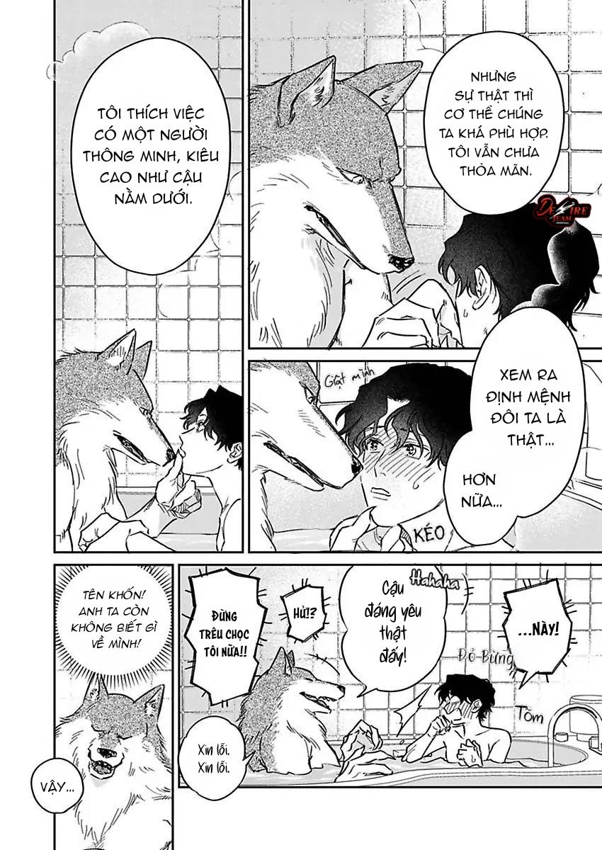 Tình Yêu Mãnh Liệt Của Ngài Sói Chapter 3 - Trang 2