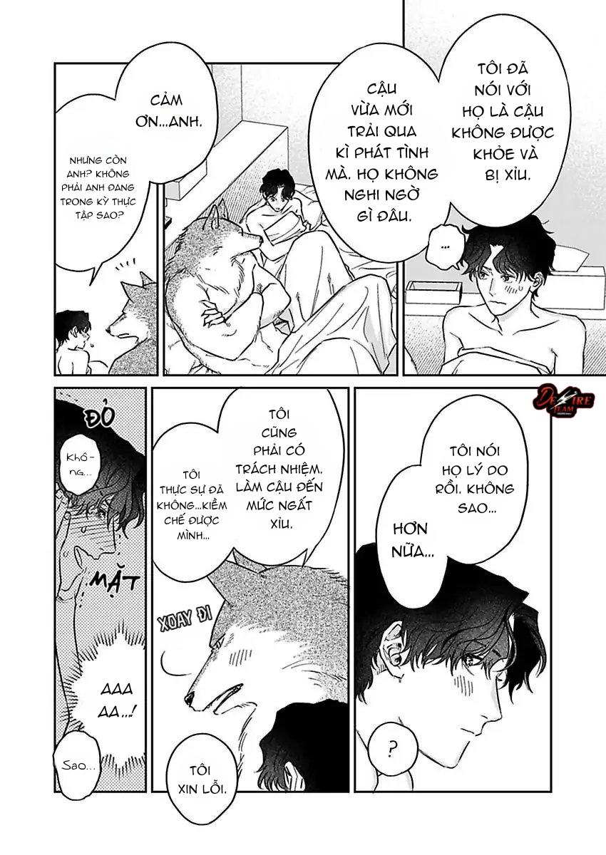 Tình Yêu Mãnh Liệt Của Ngài Sói Chapter 3 - Trang 2