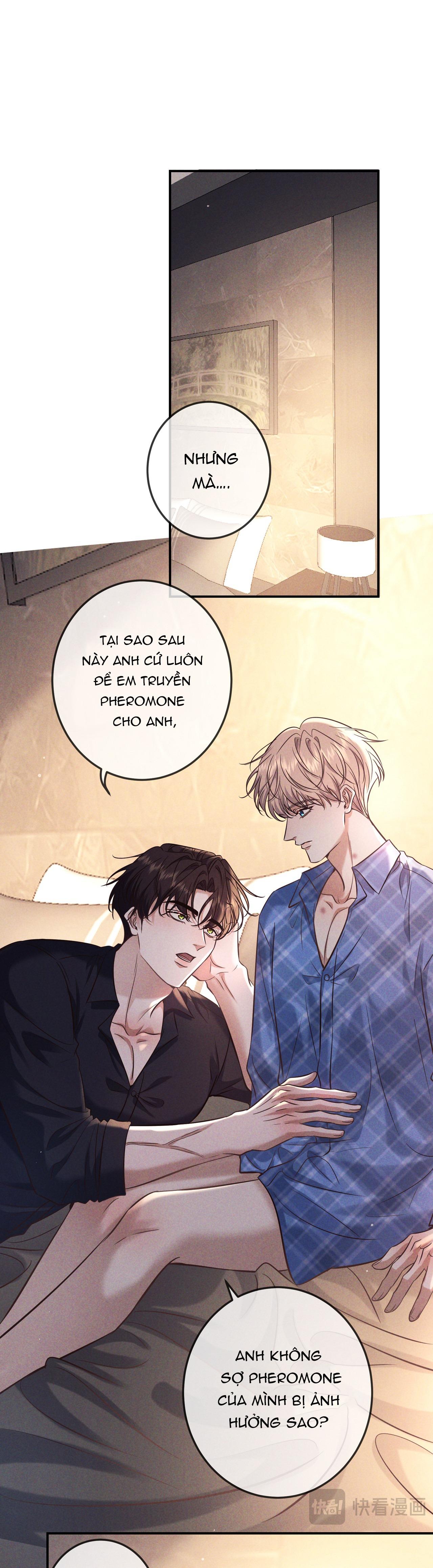 Cạn Tình Chapter 81 - Trang 2