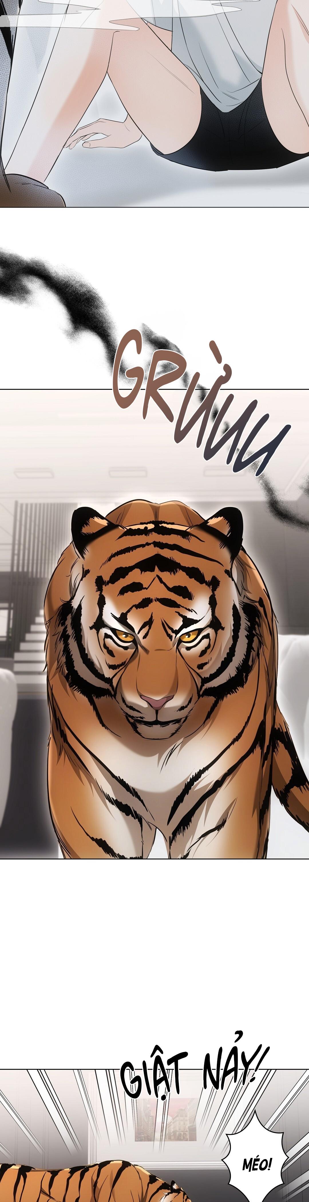 LIỆU PHÁP TRỊ LIỆU MÈO Chapter 11 - Trang 2