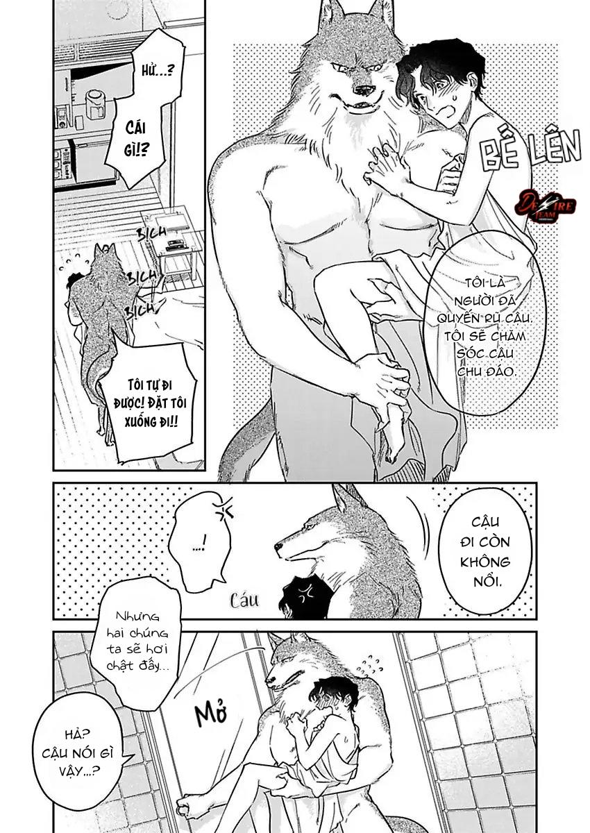 Tình Yêu Mãnh Liệt Của Ngài Sói Chapter 3 - Trang 2