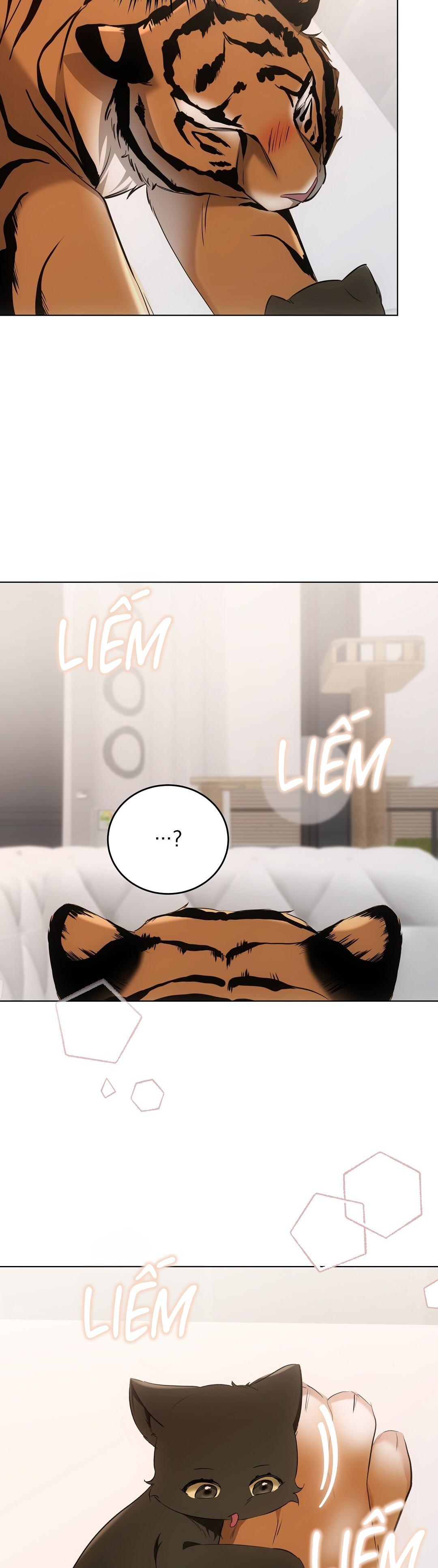LIỆU PHÁP TRỊ LIỆU MÈO Chapter 11 - Trang 2