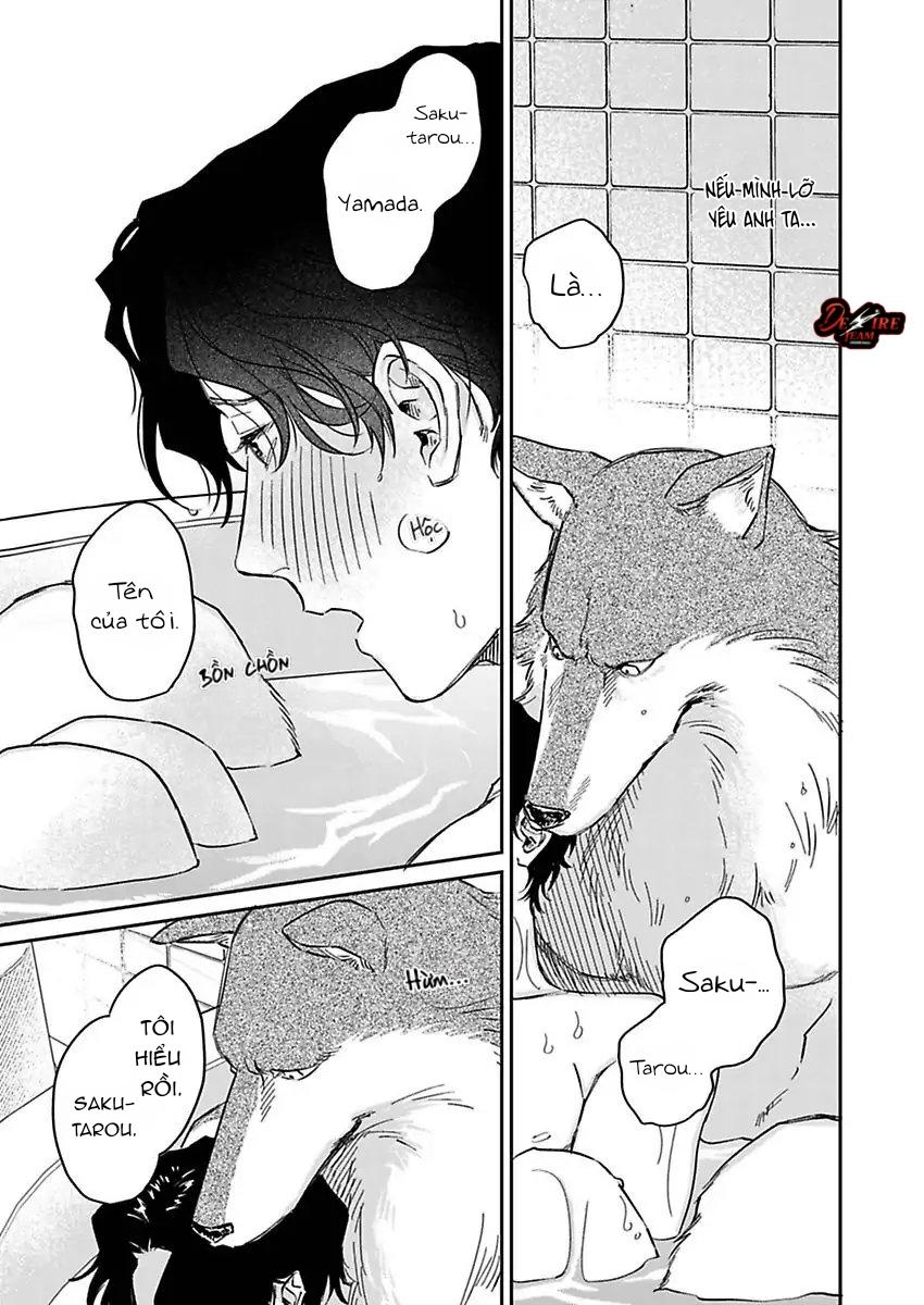 Tình Yêu Mãnh Liệt Của Ngài Sói Chapter 3 - Trang 2