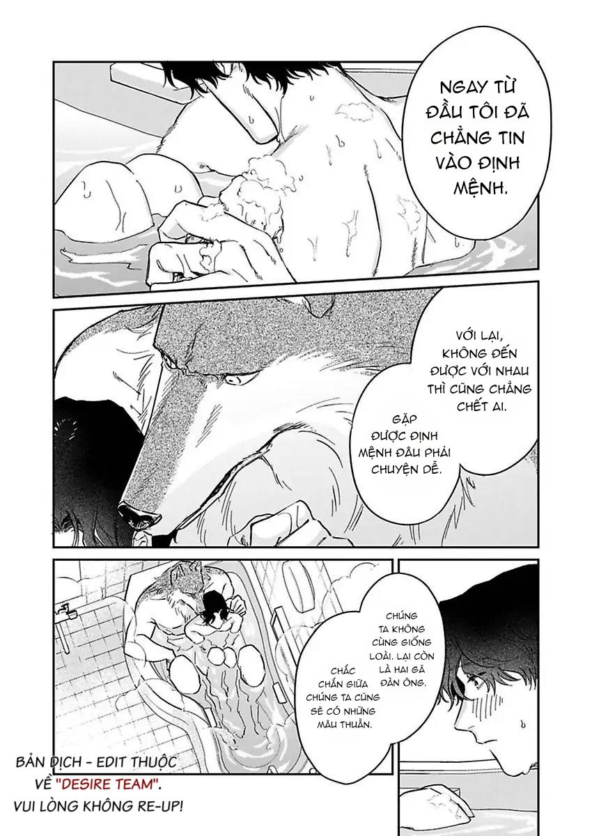 Tình Yêu Mãnh Liệt Của Ngài Sói Chapter 3 - Trang 2