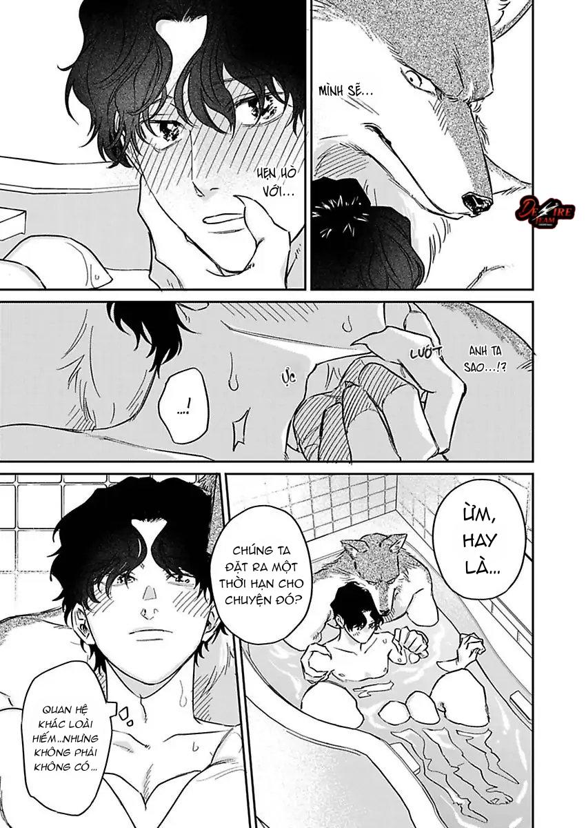 Tình Yêu Mãnh Liệt Của Ngài Sói Chapter 3 - Trang 2
