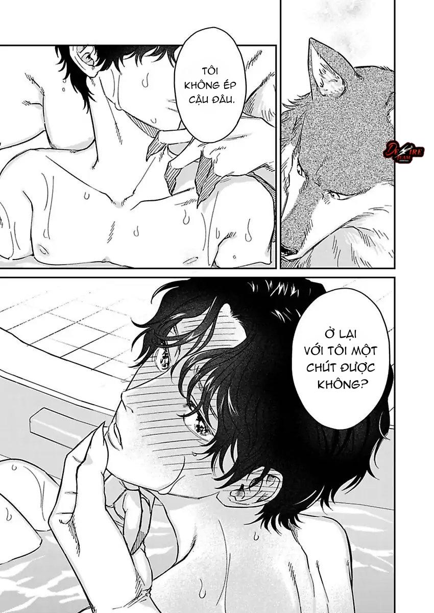 Tình Yêu Mãnh Liệt Của Ngài Sói Chapter 3 - Trang 2