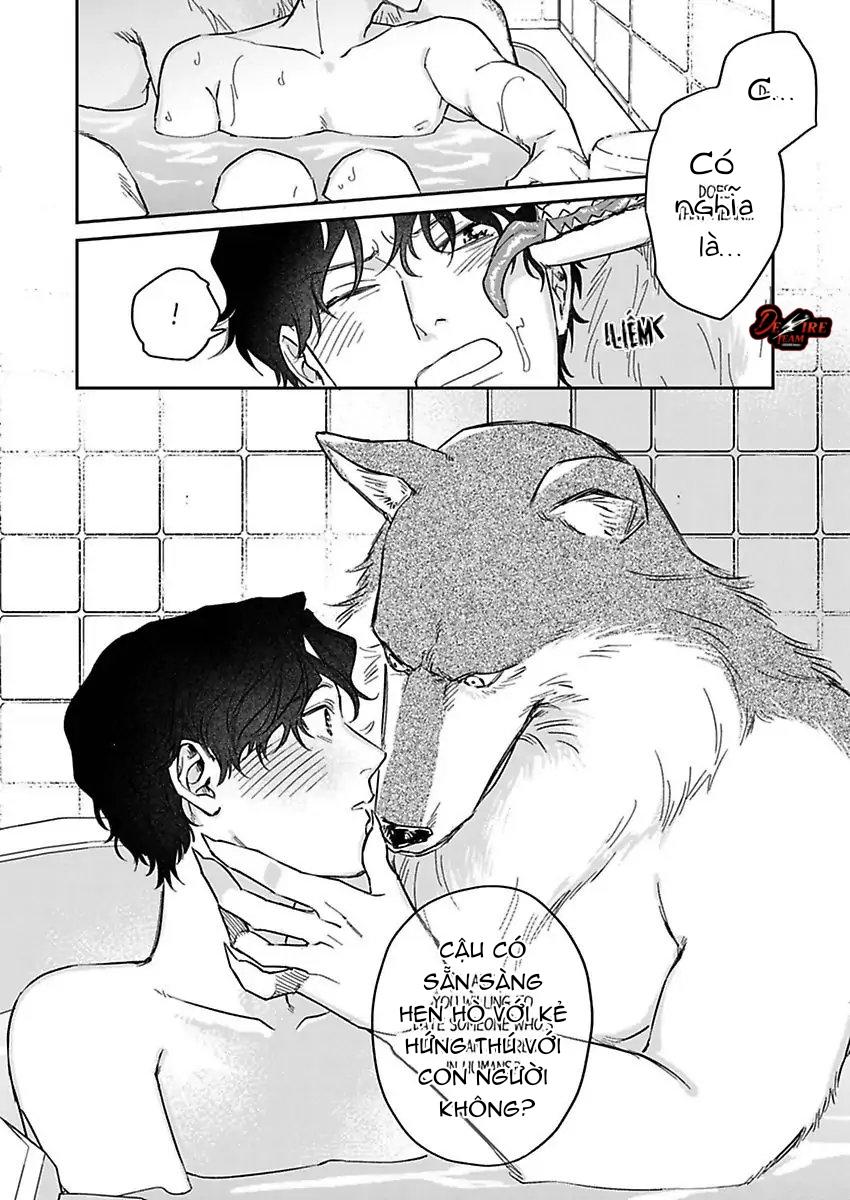 Tình Yêu Mãnh Liệt Của Ngài Sói Chapter 3 - Trang 2
