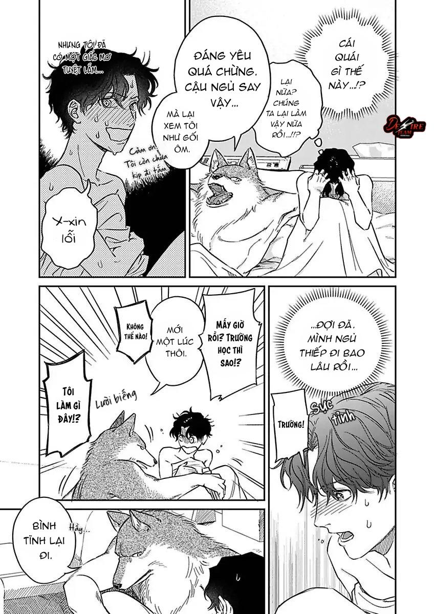 Tình Yêu Mãnh Liệt Của Ngài Sói Chapter 3 - Trang 2