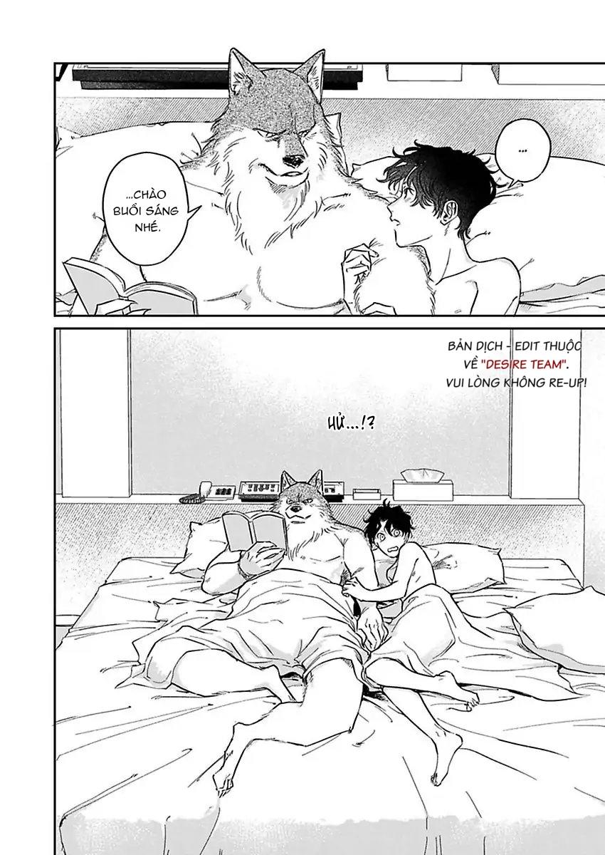 Tình Yêu Mãnh Liệt Của Ngài Sói Chapter 3 - Trang 2