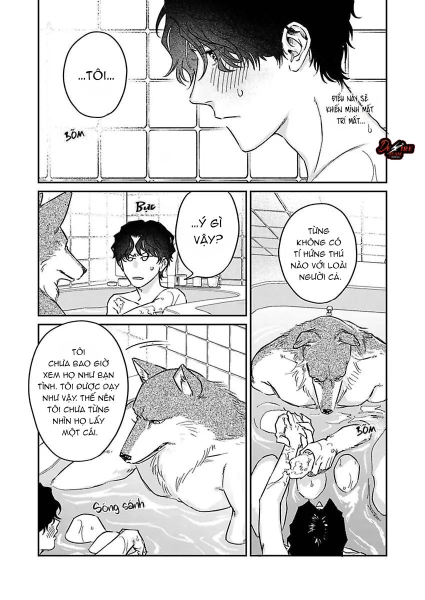 Tình Yêu Mãnh Liệt Của Ngài Sói Chapter 3 - Trang 2