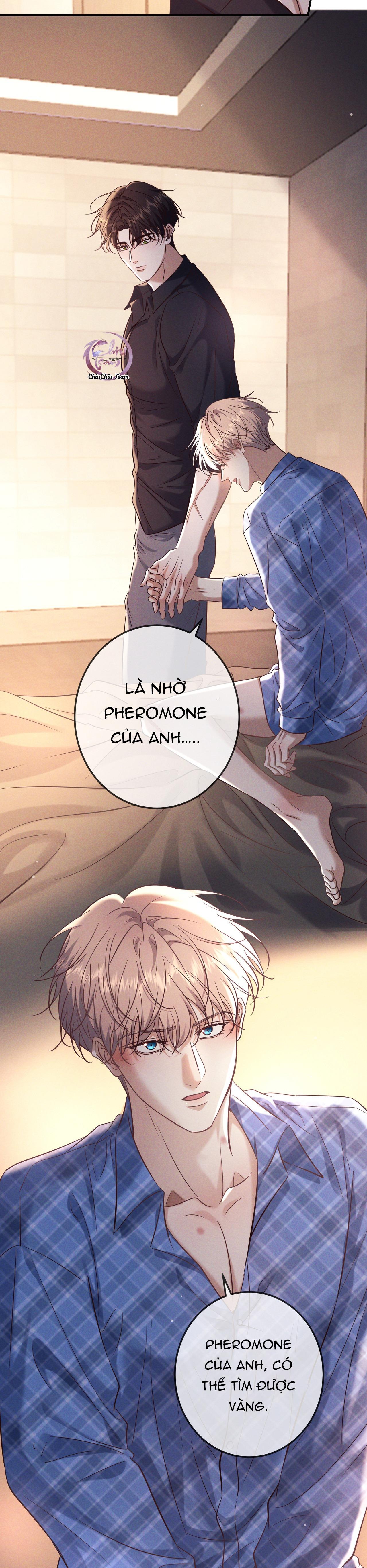 Cạn Tình Chapter 81 - Trang 2