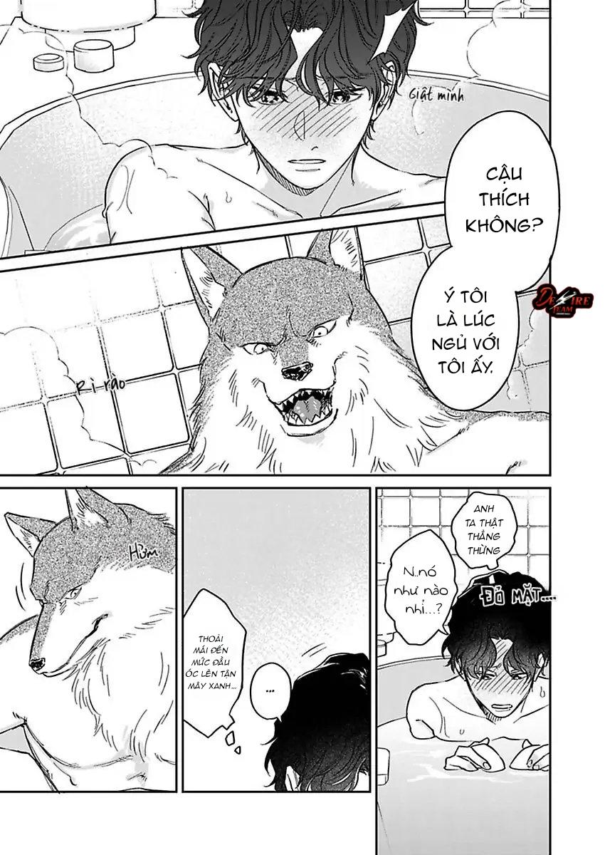 Tình Yêu Mãnh Liệt Của Ngài Sói Chapter 3 - Trang 2