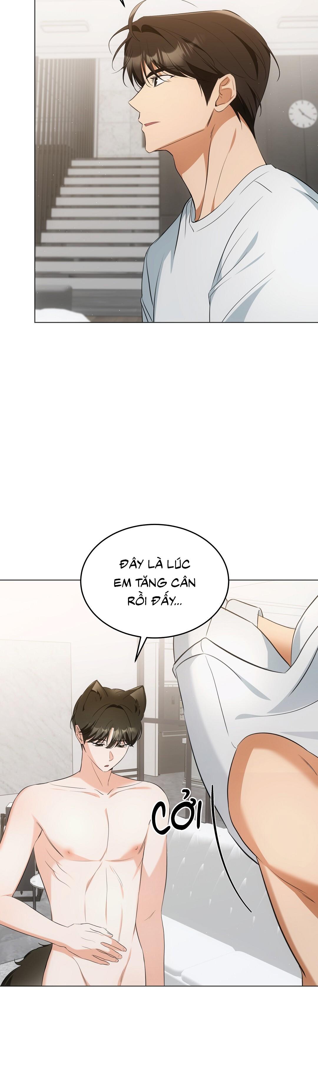 LIỆU PHÁP TRỊ LIỆU MÈO Chapter 11 - Trang 2