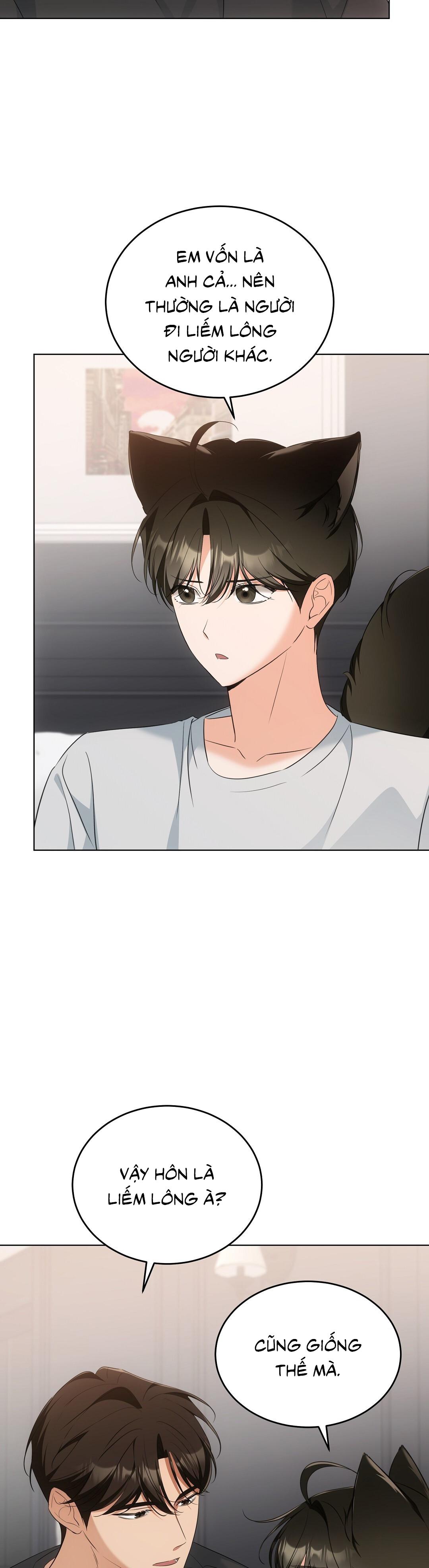 LIỆU PHÁP TRỊ LIỆU MÈO Chapter 11 - Trang 2