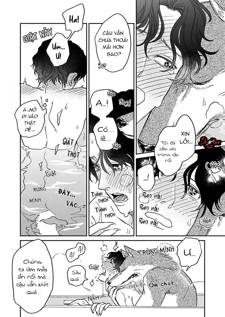 Tình Yêu Mãnh Liệt Của Ngài Sói Chapter 3 - Trang 2