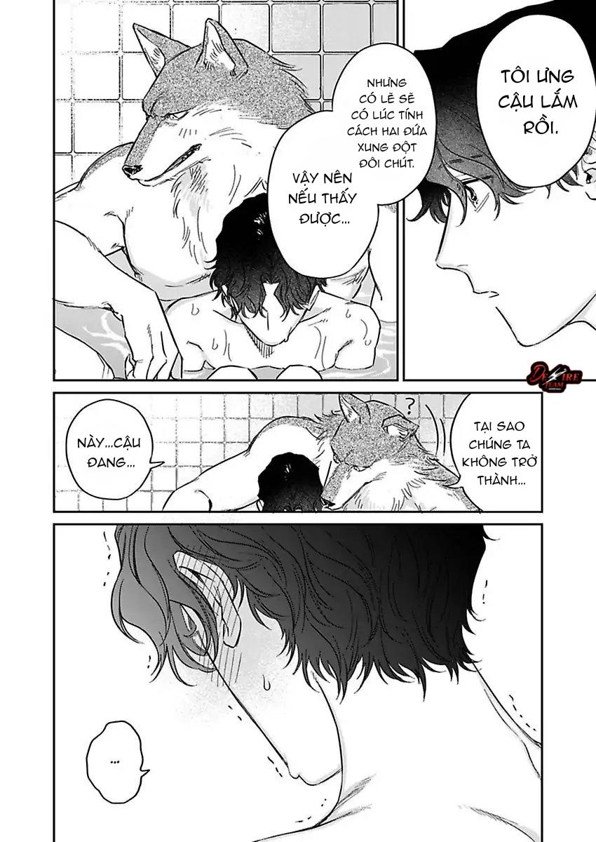 Tình Yêu Mãnh Liệt Của Ngài Sói Chapter 3 - Trang 2