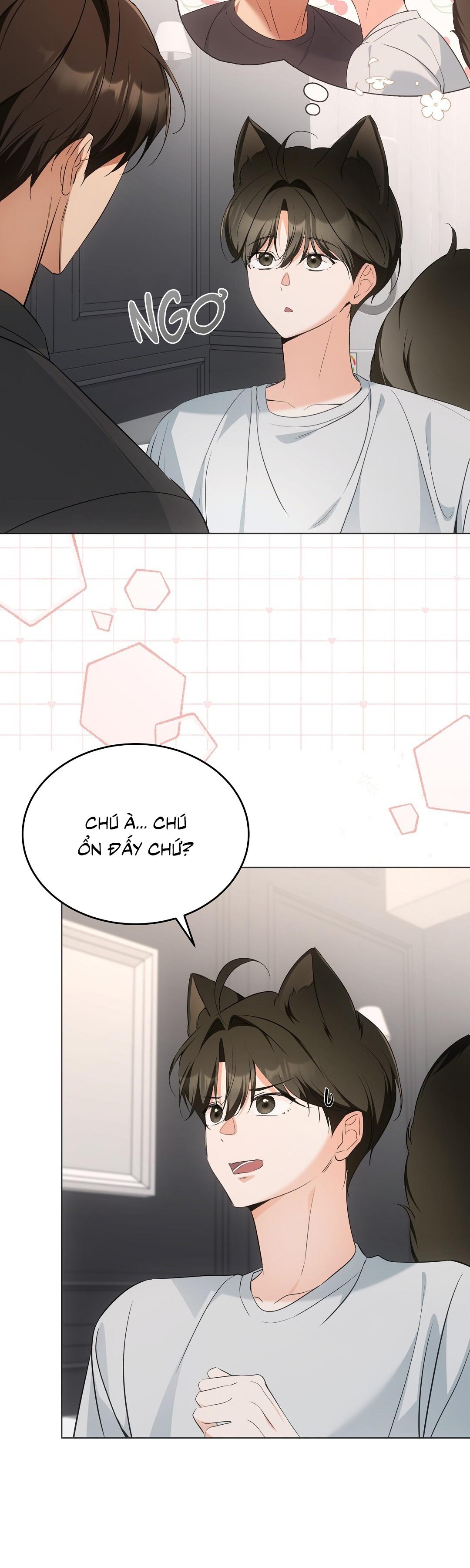 LIỆU PHÁP TRỊ LIỆU MÈO Chapter 11 - Trang 2