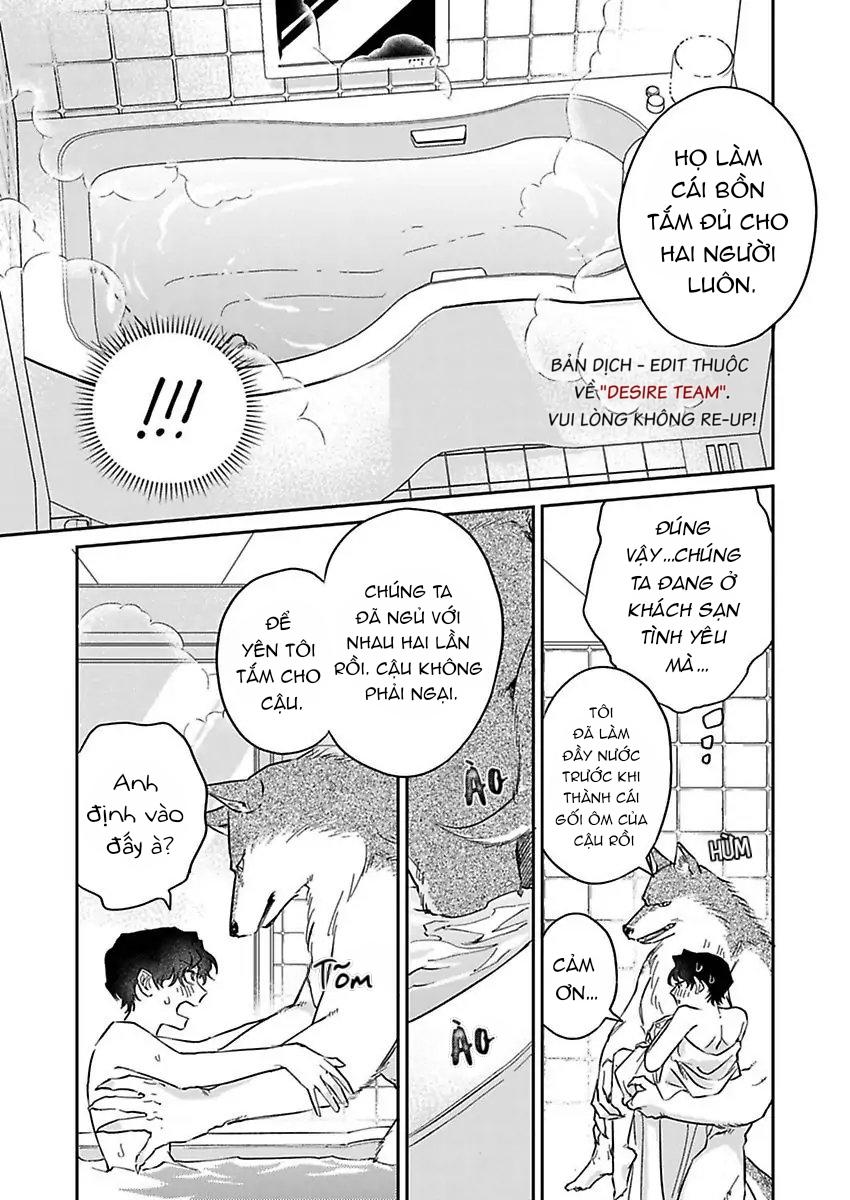 Tình Yêu Mãnh Liệt Của Ngài Sói Chapter 3 - Trang 2